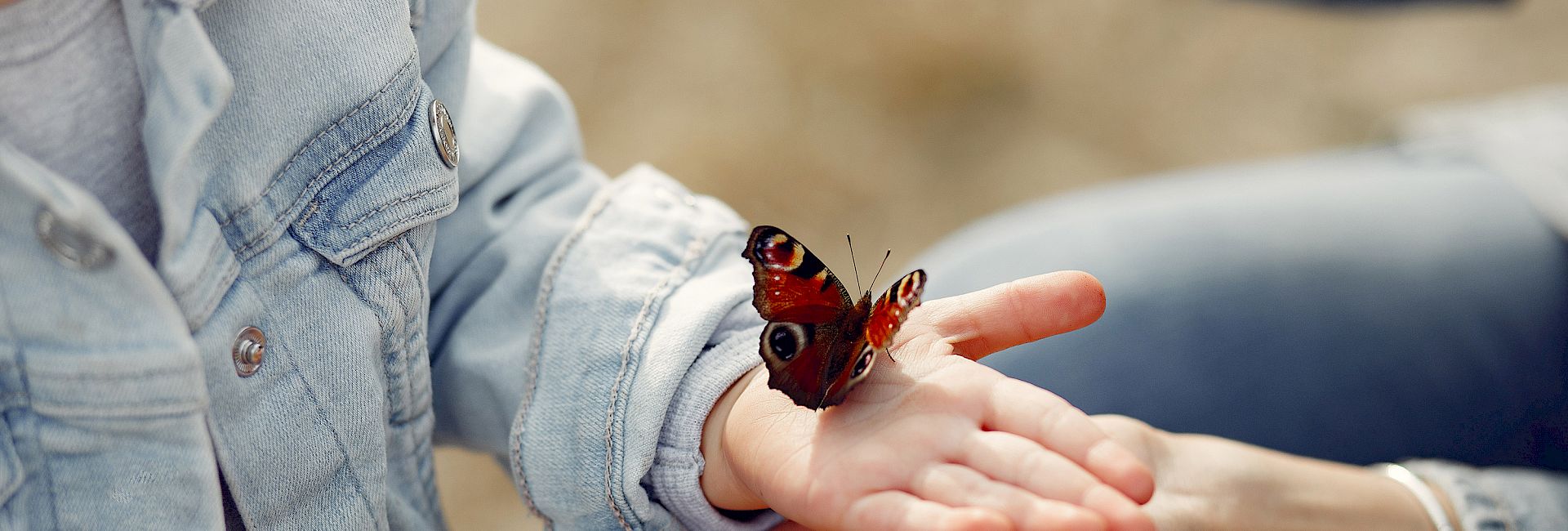 Logopraxis Wildeshausen, Logopädie, Anthea Anhuth, Kontakt Logopraxis Wildeshausen, Logopädie, Anthea Anhuth, Kontakt
