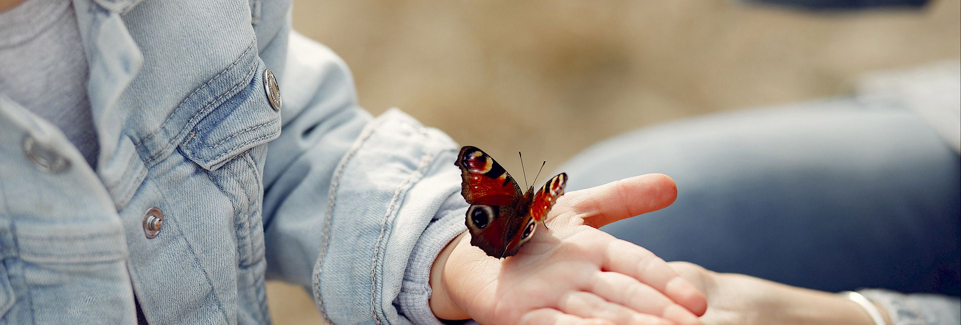 Logopraxis Wildeshausen, Logopädie, Anthea Anhuth, Datenschutz